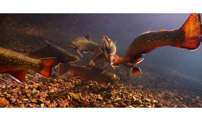 Source: Inspired Planet