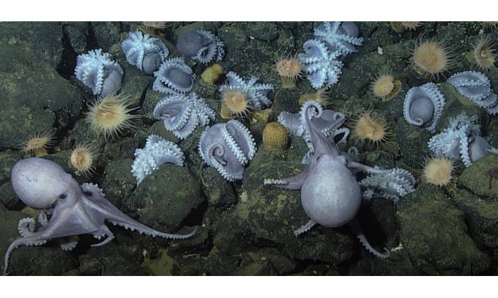 Source: MBARI