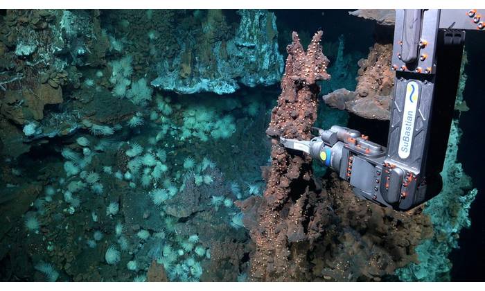 ROV SuBastian pilots collect a geologic sample from a hydrothermal vent chimney nearly 3,890 meters (2.4 miles) deep. Scientists discovered two new hydrothermal vent fields in one of the least explored areas of the Atlantic Ocean, the Doldrums Megatransform and Fracture Zone. This large, tectonically active system cuts across the Mid-Atlantic Ridge, which forms the world’s longest mountain chain. These types of vent fields are rare because of their hybrid “plumbing” systems, featuring typical vo