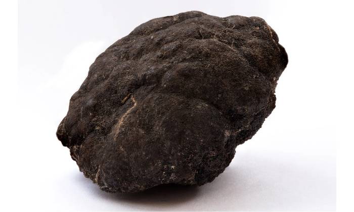 © Velizar Gordeev / Adobe Stock