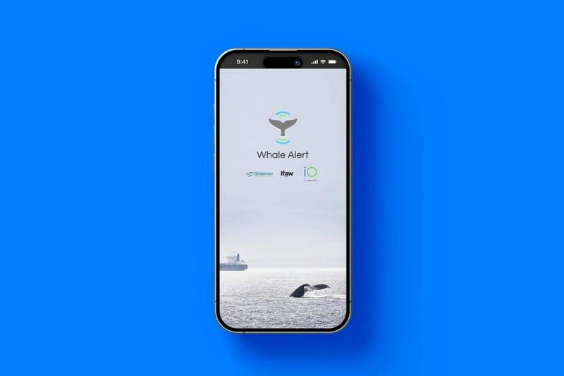 https://images.marinetechnologynews.com/images/maritime/w800/-160829.jpg