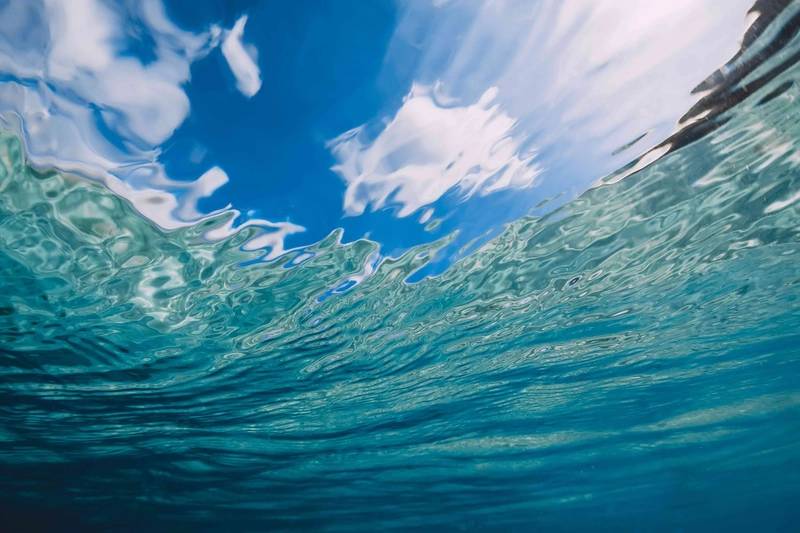 https://images.marinetechnologynews.com/images/maritime/w800/adobe-stockartifirsov-162431.jpeg
