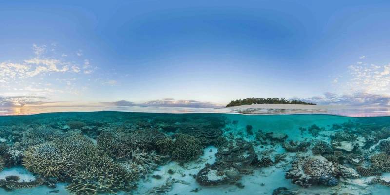 https://images.marinetechnologynews.com/images/maritime/w800/adobe-stockthe-164421.jpeg