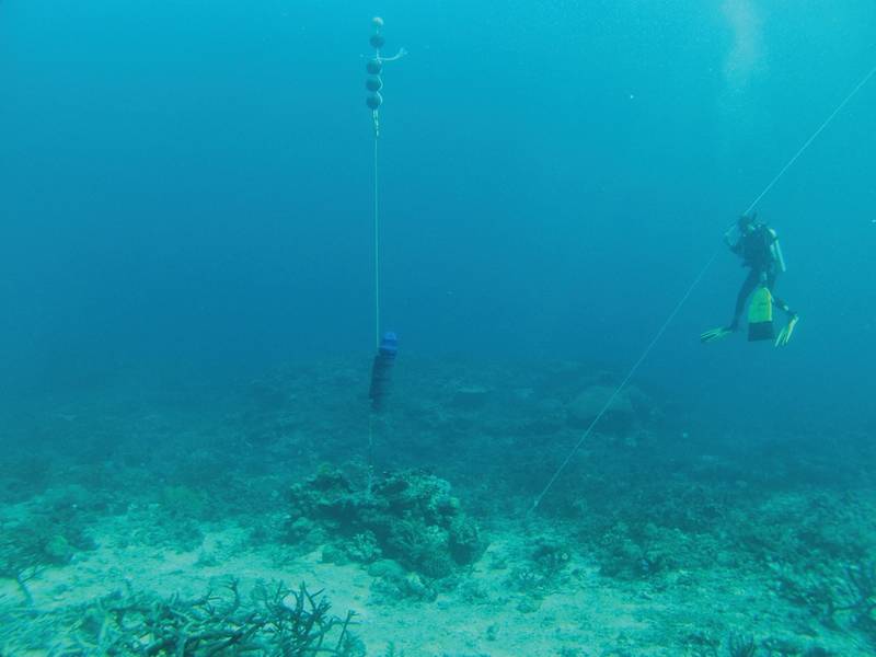 Jasco Has A Long History In Acoustics