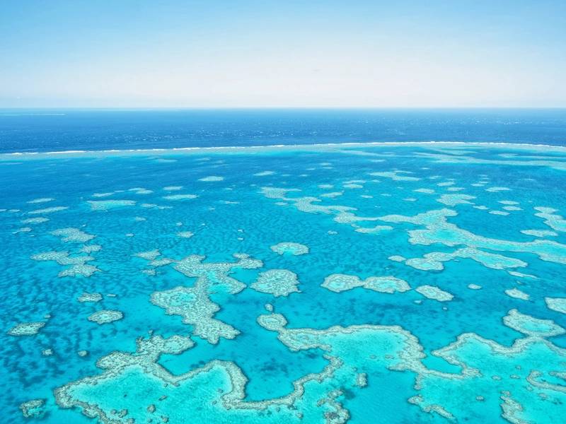 The Barrier Reef Is Still In Hot Water