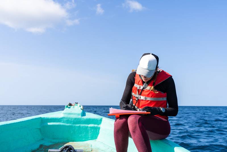 Complex Data Frameworks Hamper Early Career Ocean Professionals