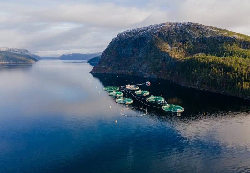 https://images.marinetechnologynews.com/images/maritime/w800/fiizk-fazcilities-164837.jpg