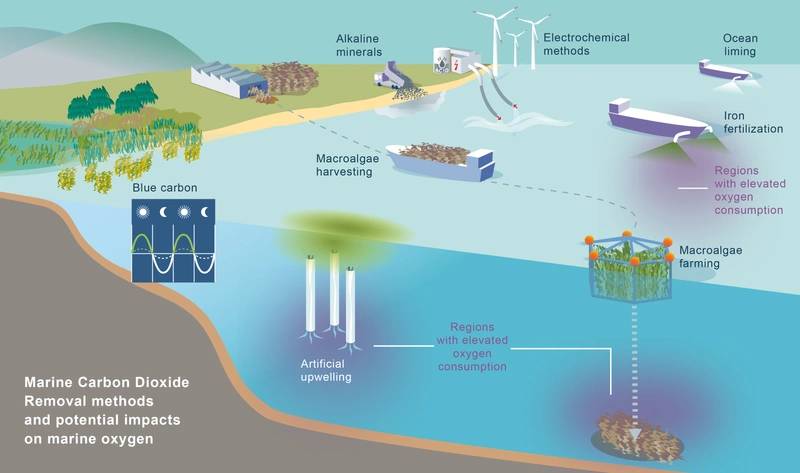 Greater CO2 Uptake Could Cause Ocean Deoxygenation