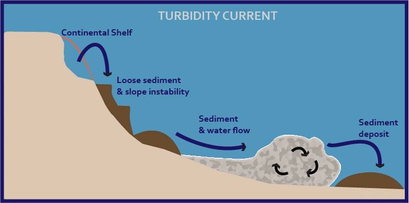 Turbidity Currents and Their Effects on Subsea Fibre Optic Cables