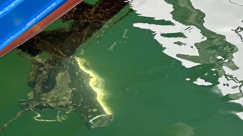 Teledyne Marine Integrates Biofouling Protection Coatings for Sonars