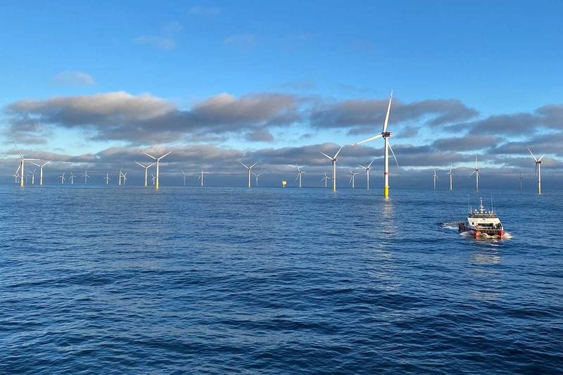 RWE to Employ Innovative Ecosystem Monitoring Tech at Kaskasi Offshore Wind Farm