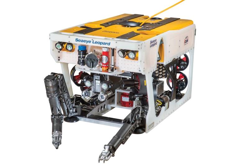 Leopard Rovks Leopard ROV Beats The Heat