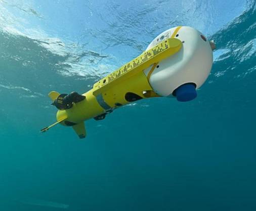 Expendable Unmanned Vehicle For Mine Countermeasures