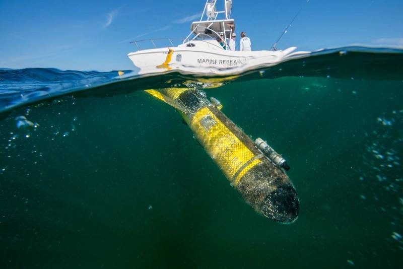 Teledyne Marine Launches Photo Contest