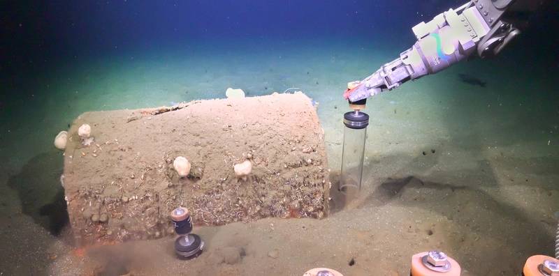 https://images.marinetechnologynews.com/images/maritime/w800/researchers-remotely-163468.jpg