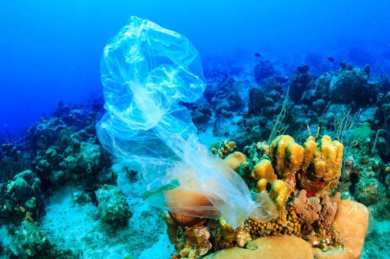 Submerged Trash Adds Welcome Pop Of Color To Bleached Coral Reef