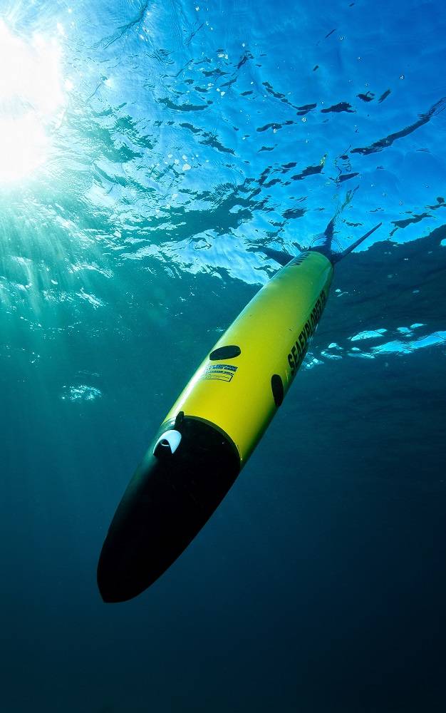 stingray underwater glider