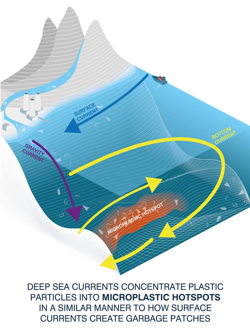 SCIENCE Seafloor Microplastic Hotspots Controlled By