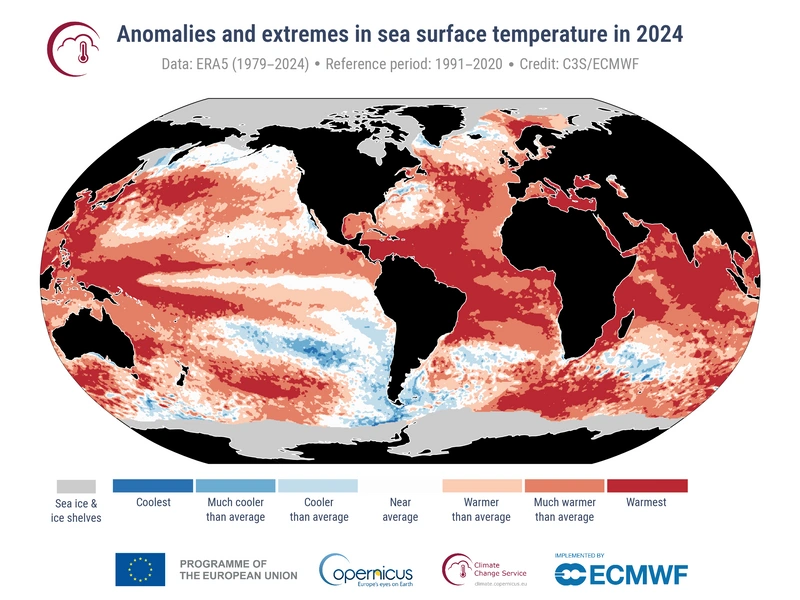 2024 was Hottest Year on Record