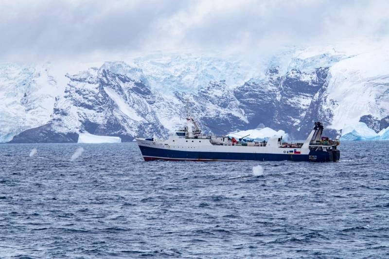 CCAMLR Talks End Without Consensus On Krill Fishing – Marine News Magazine