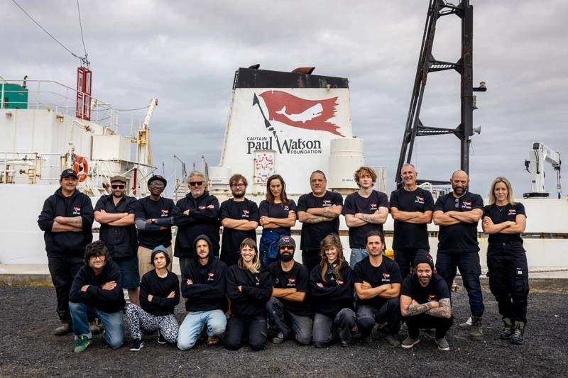 Activist Vessel Collides With Krill Harvesting Vessel