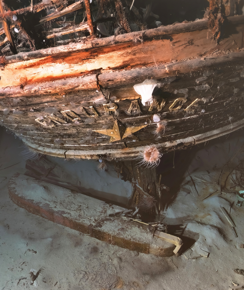 https://images.marinetechnologynews.com/images/maritime/w800/source-voyis-162083.png