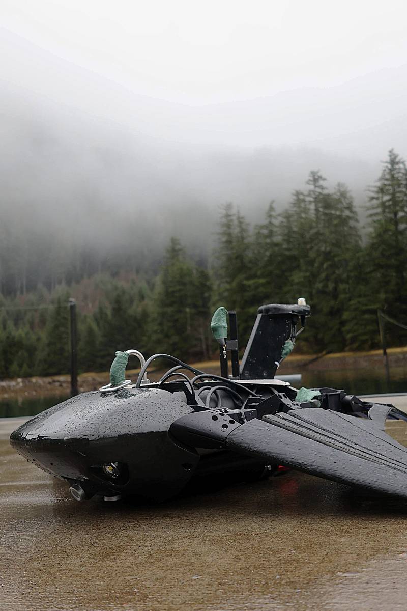 https://images.marinetechnologynews.com/images/maritime/w800/systems-172340.jpeg
