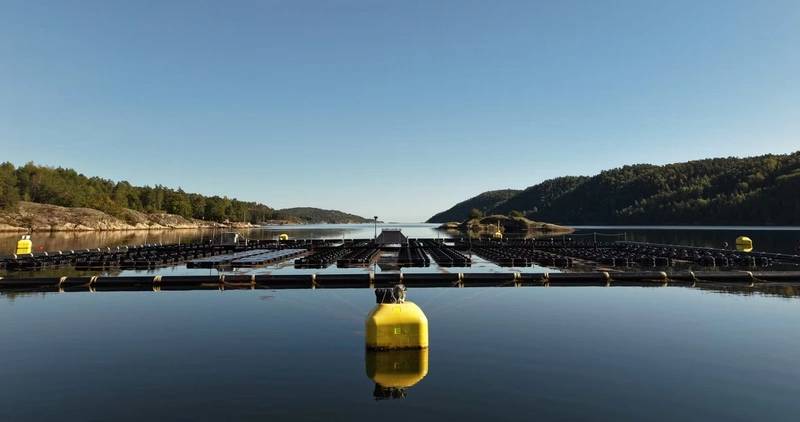 https://images.marinetechnologynews.com/images/maritime/w800/tension-installed-164306.jpg