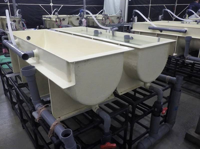 https://images.marinetechnologynews.com/images/maritime/w800/yanmar-161890.jpg