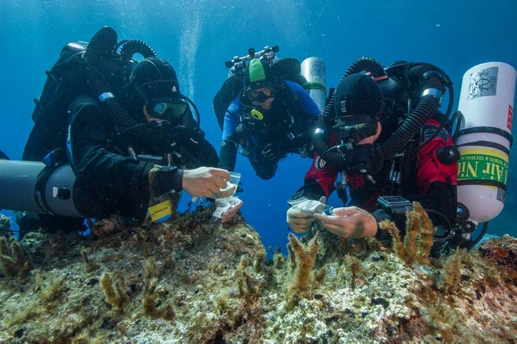 Antikythera team members Nikolas Giannoulakis, Theotokis Theodoulou, and Brendan Foley inspect small finds from the Shipwreck while decompressing after a dive to 50 m (165 feet). (Photo by Brett Seymour, EUA/WHOI/ARGO)