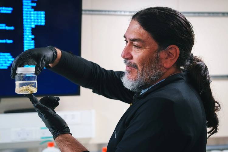 Armando Azua-Bustos (Principal Investigator, Centro de Astrobiología, CSIC-INTA) inspects samples in the Hydro Lab on Research Vessel Falkor (too).
Credit: Alex Ingle / Schmidt Ocean Institute
