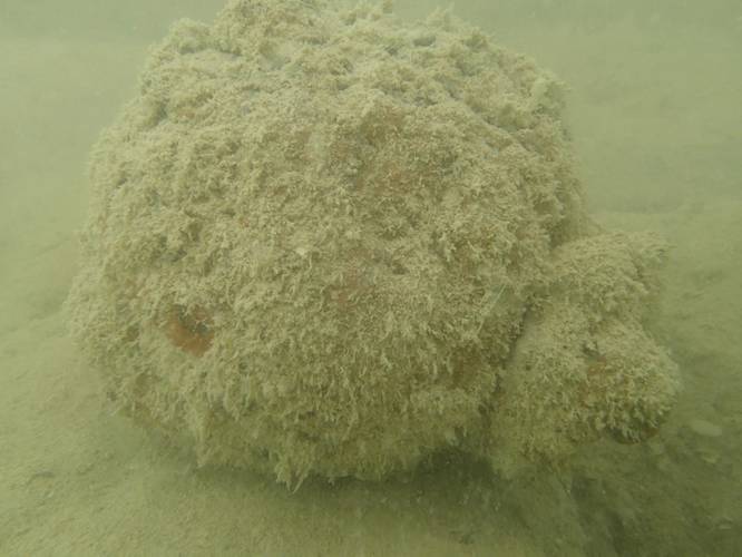 Australian Defense photo