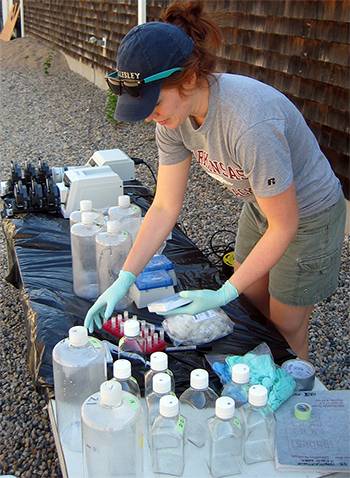 Lead author Harriet Alexander and her colleagues worked with water samples from Narragansett Bay, R.I. They sequenced RNA from field samples and used a novel approach combining new molecular and analytic tools to highlight how similar diatom species utilize resources differently—known as niche partitioning. (Courtesy of Sonya Dyhrman, Columbia University)