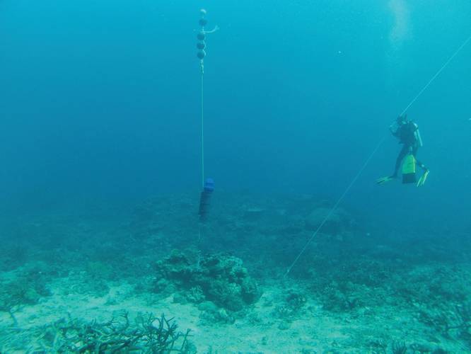 AMAR G3, an autonomous multi-channel acoustic recorder which can stream real time data.