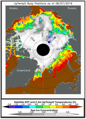 Average sea surface temperature measured by satellites using thermal emission sensors, which produce global data adjusted after comparison with ship and buoy data, and sea ice concentration derived from NSIDC near-real-time data for August 7, 2016. Also shown are drifting buoy temperatures at the ocean surface (colored circles); gray circles indicate that temperature data from the buoys are not available. (Credit: M. Steele, Polar Science Center/University of Washington)