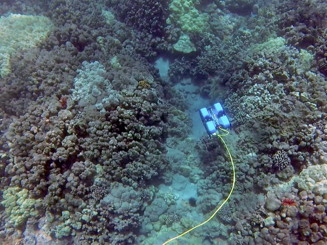 BlueROV2 – Black Sands (Photo: Blue Robotics)