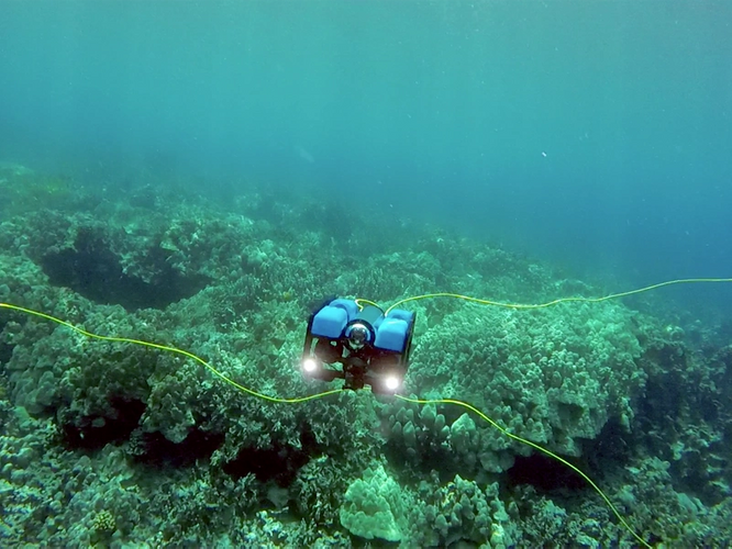 BlueROV2 – Honaunau Bay (Photo: Blue Robotics)