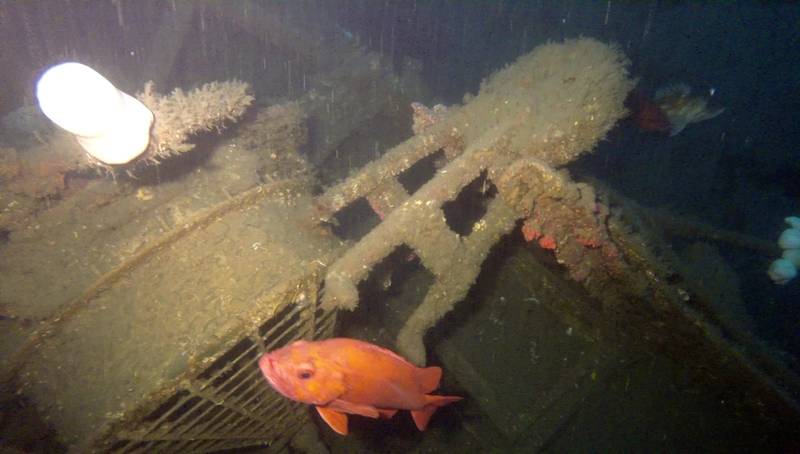 A circular skylight collapsed inside the officer’s quarters in the stern of the shipwreck USCG Cutter McCulloch. To the right of the skylight is a sounding machine that was used to determine the depth of water and was once located on the upper poop deck. The wreck provides habitat for various species of marine life, including vermillion rockfish. (Credit: NOAA/USCG/VideoRay)