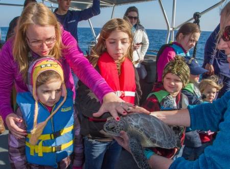 Coast Guard family members and civilian passengers about Coast Guard Cutter Kodiak Island out of Atlantic Beach North Carolina prepare to release a rehabilitated sea turtle off the North Carolina coast Dec. 15, 2014. The Coast Guard, in cooperation with the North Carolina Resources Commission, helped release a total of 19 rehabilitated sea turtles into the Gulf Stream off the coast of North Carolina including Kemp's ridley sea turtles, green sea turtles and a loggerhead sea turtle. (Photo by Kev