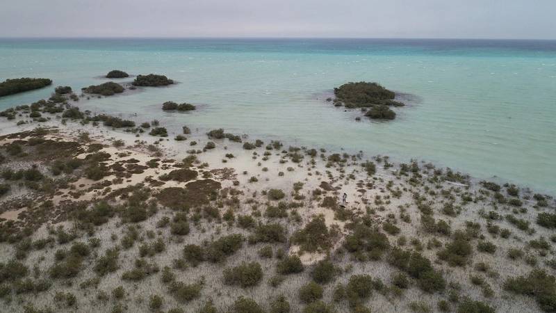 The Red Sea coastline near Jeddah, Saudi Arabia, home to some of the mangrove ecosystems studied in the Science Advances paper. Image courtesy of Cecilia Martin.