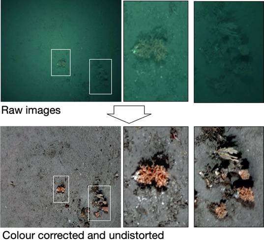 Colour and distortion correction of BioCam images. Image: Sonardyne