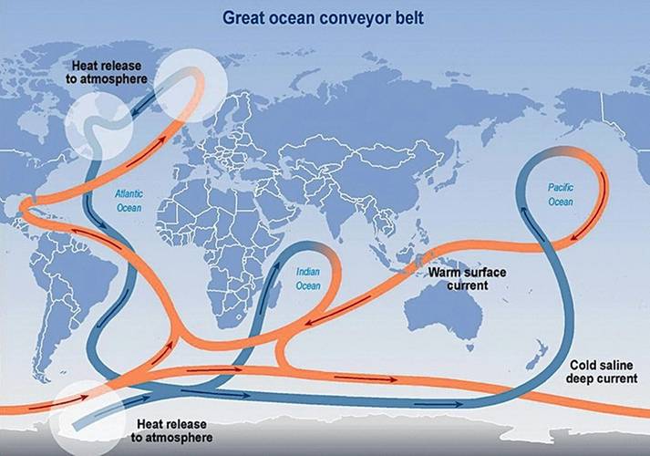 The constantly moving system of deep-water circulation, sometimes referred to as the Global Ocean Conveyor Belt, sends warm, salty Gulf Stream water to the North Atlantic where it releases heat to the atmosphere and warms Western Europe. The cooler, denser water then sinks to great depths and travels all the way to Antarctica and eventually circulates back up to the Gulf Stream. (Copyright Intergovernmental Panel on Climate Change 2001)