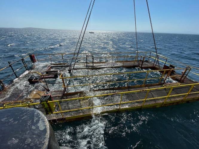 (Credit: Green Marine UK)