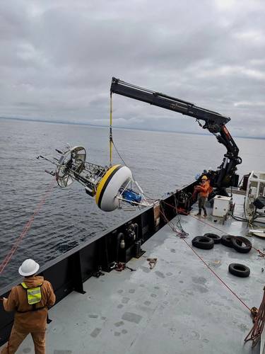 Deploying mooring off boat: Jason Adelaars MBARI 2023