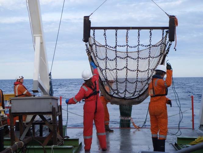 Deployment of a 2 m scientific beam trawl used for the collection of mobile epibenthic species. (Photo: Fugro)