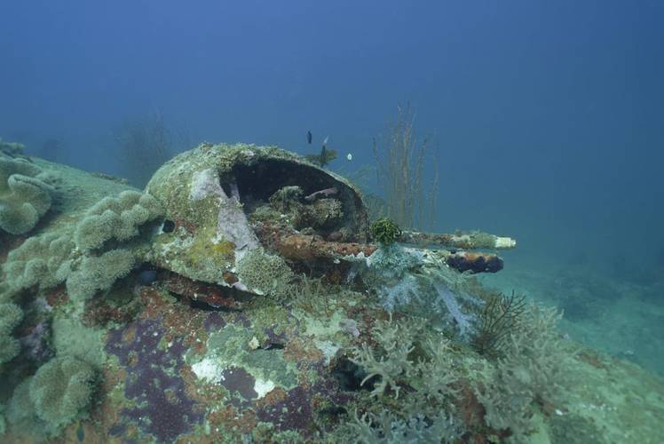 Documented B-52 Bomber (Photo: Project Recover)