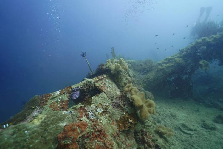 Documented B-52 Bomber (Photo: Project Recover)