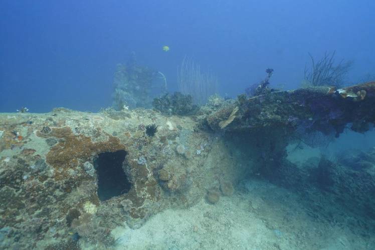 Documented B-52 Bomber (Photo: Project Recover)