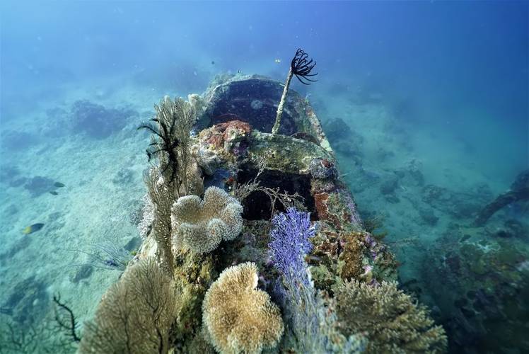 Documented B-52 Bomber (Photo: Project Recover)