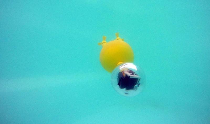 Eauligo and the Marine Bees